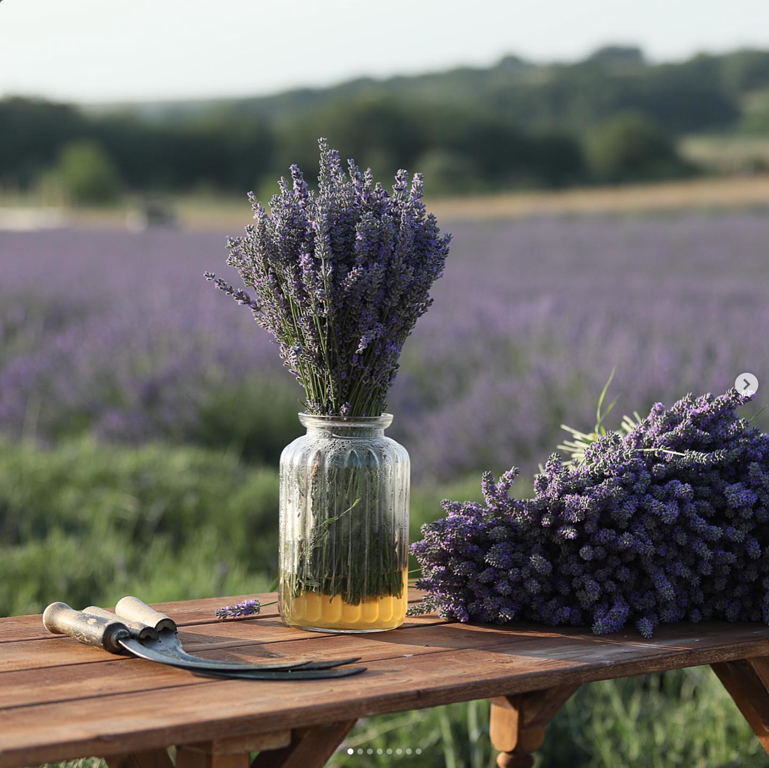 Lavender bouquet on a table